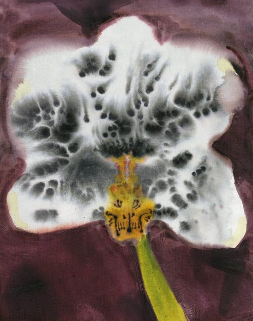 Ruschka du Toit - Midnight Garden copy